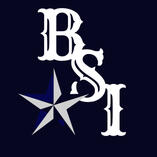 Blue Stone International Logo